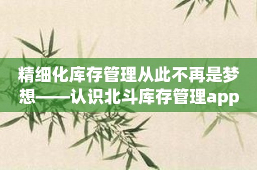 精细化库存管理从此不再是梦想——认识北斗库存管理app的实用性