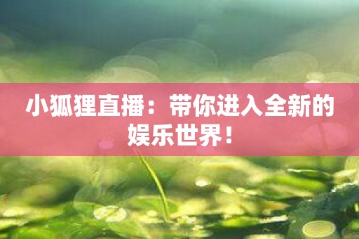 小狐狸直播：带你进入全新的娱乐世界！