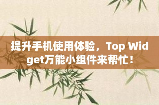 提升手机使用体验，Top Widget万能小组件来帮忙！