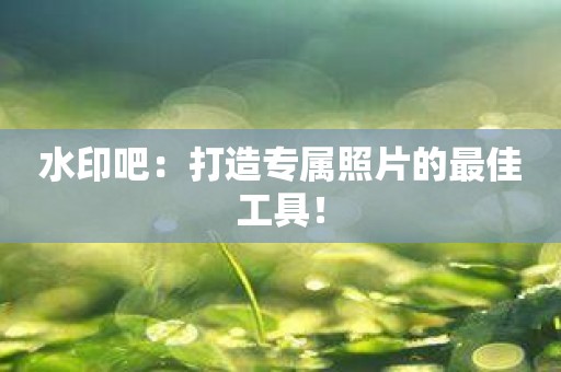 水印吧：打造专属照片的最佳工具！