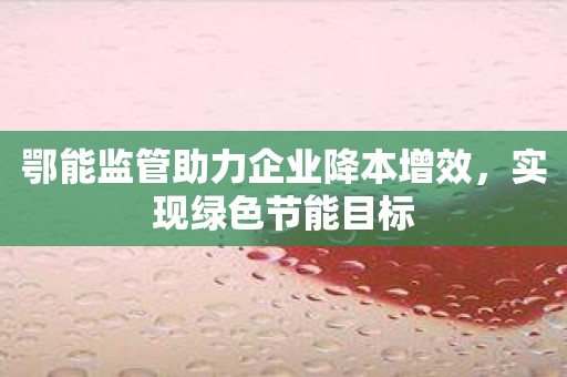鄂能监管助力企业降本增效，实现绿色节能目标
