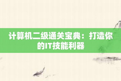计算机二级通关宝典：打造你的IT技能利器