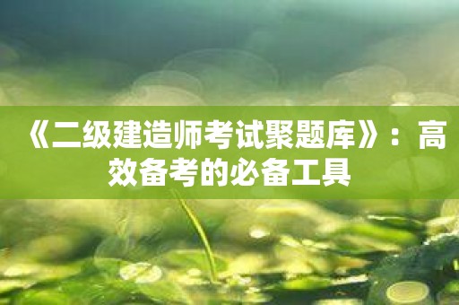 《二级建造师考试聚题库》：高效备考的必备工具