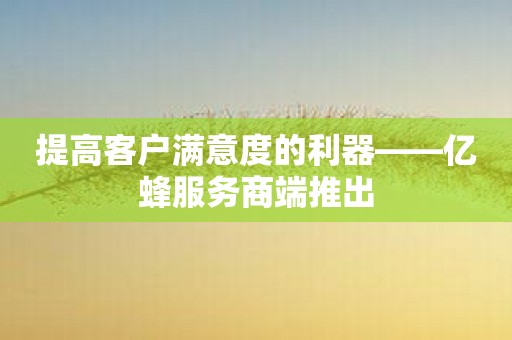 提高客户满意度的利器——亿蜂服务商端推出