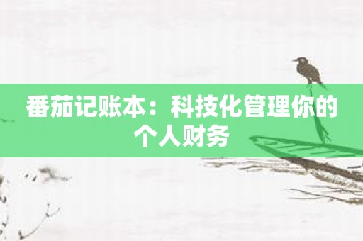 番茄记账本：科技化管理你的个人财务