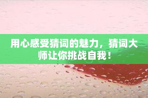 用心感受猜词的魅力，猜词大师让你挑战自我！