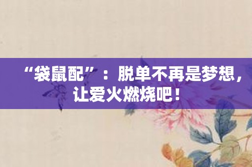 “袋鼠配”：脱单不再是梦想，让爱火燃烧吧！