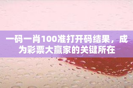 一码一肖100准打开码结果，成为彩票大赢家的关键所在