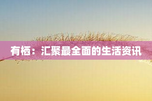 有栖：汇聚最全面的生活资讯