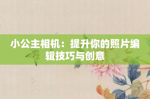 小公主相机：提升你的照片编辑技巧与创意