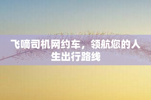 飞嘀司机网约车，领航您的人生出行路线