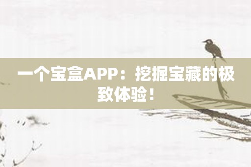一个宝盒APP：挖掘宝藏的极致体验！