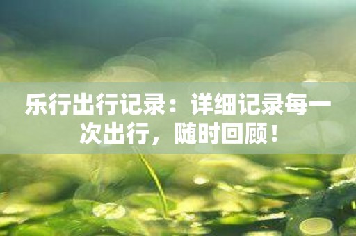 乐行出行记录：详细记录每一次出行，随时回顾！