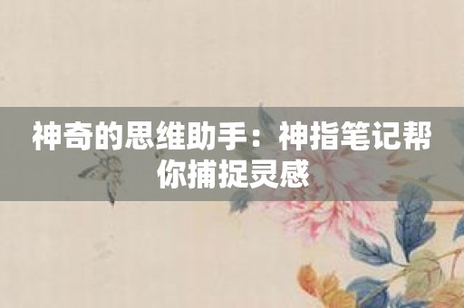 神奇的思维助手：神指笔记帮你捕捉灵感