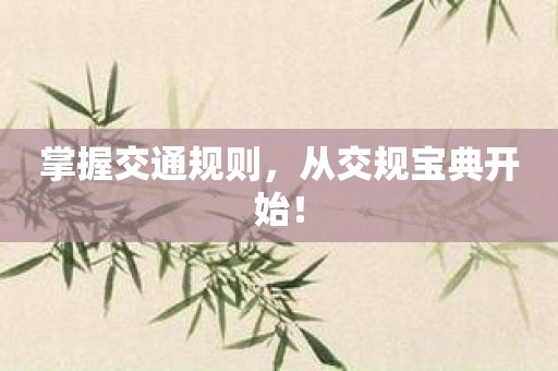 掌握交通规则，从交规宝典开始！
