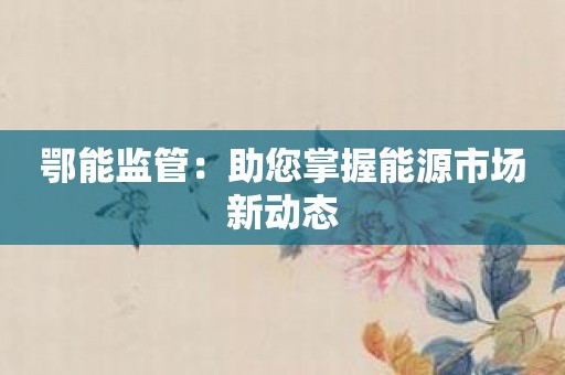 鄂能监管：助您掌握能源市场新动态