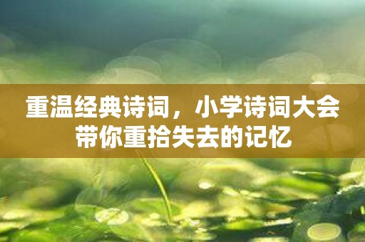 重温经典诗词，小学诗词大会带你重拾失去的记忆
