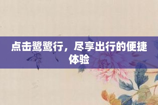 点击鹭鹭行，尽享出行的便捷体验