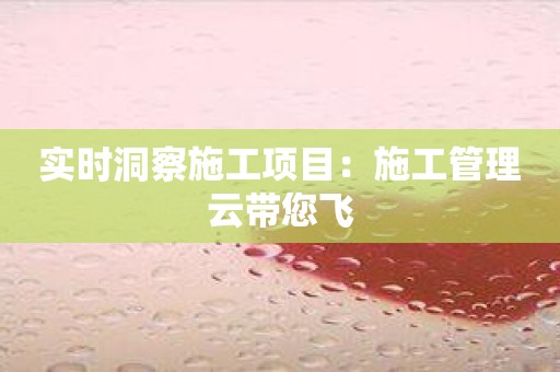 实时洞察施工项目：施工管理云带您飞