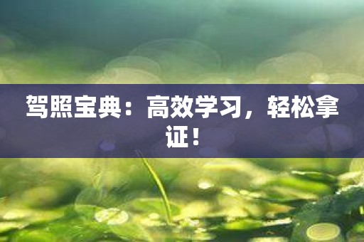 驾照宝典：高效学习，轻松拿证！