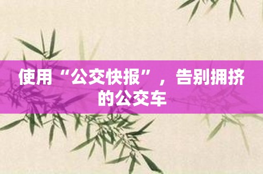 使用“公交快报”，告别拥挤的公交车