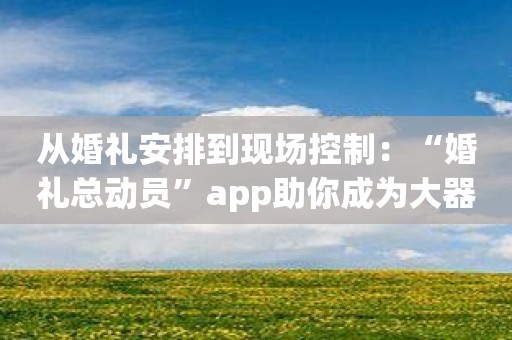 从婚礼安排到现场控制：“婚礼总动员”app助你成为大器！