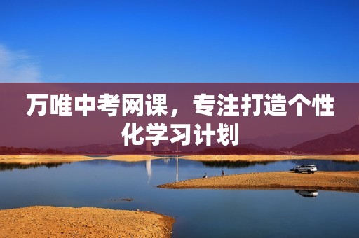 万唯中考网课，专注打造个性化学习计划