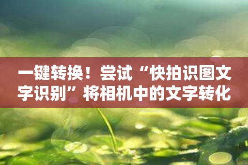 一键转换！尝试“快拍识图文字识别”将相机中的文字转化为可编辑文件！