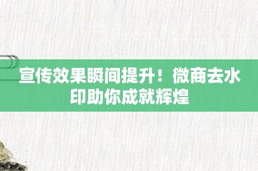 宣传效果瞬间提升！微商去水印助你成就辉煌
