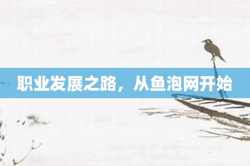 职业发展之路，从鱼泡网开始