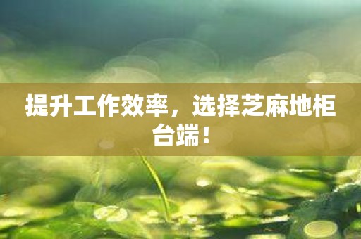 提升工作效率，选择芝麻地柜台端！