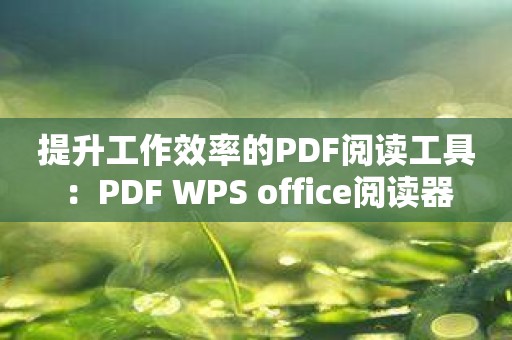 提升工作效率的PDF阅读工具：PDF WPS office阅读器