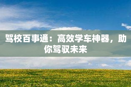 驾校百事通：高效学车神器，助你驾驭未来