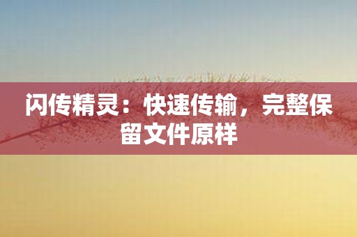 闪传精灵：快速传输，完整保留文件原样
