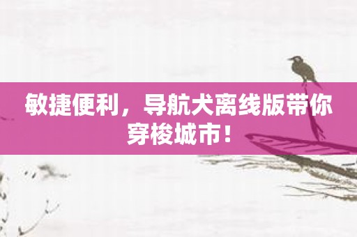 敏捷便利，导航犬离线版带你穿梭城市！