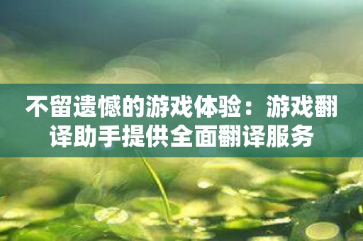 不留遗憾的游戏体验：游戏翻译助手提供全面翻译服务