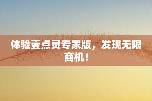 体验壹点灵专家版，发现无限商机！