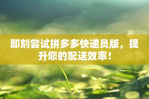 即刻尝试拼多多快递员版，提升您的配送效率！