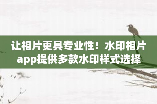 让相片更具专业性！水印相片app提供多款水印样式选择