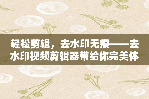 轻松剪辑，去水印无痕——去水印视频剪辑器带给你完美体验