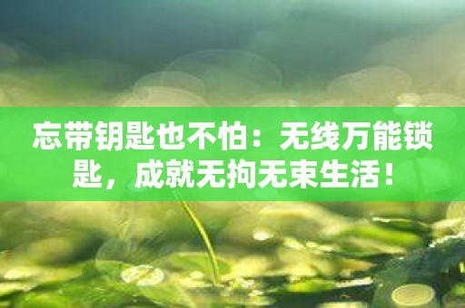 忘带钥匙也不怕：无线万能锁匙，成就无拘无束生活！