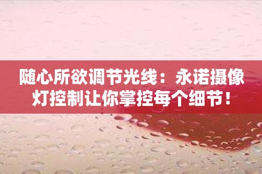 随心所欲调节光线：永诺摄像灯控制让你掌控每个细节！