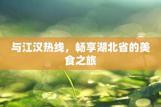 与江汉热线，畅享湖北省的美食之旅