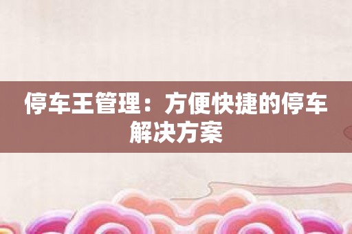 停车王管理：方便快捷的停车解决方案
