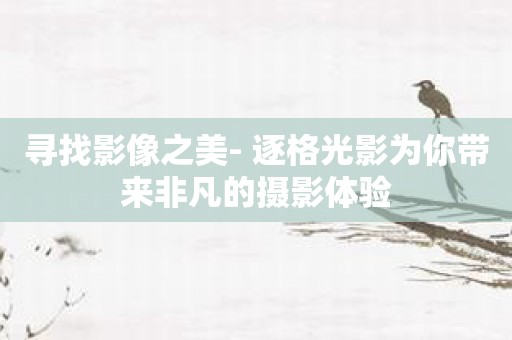 寻找影像之美- 逐格光影为你带来非凡的摄影体验