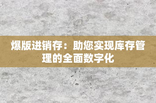 爆版进销存：助您实现库存管理的全面数字化