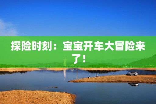 探险时刻：宝宝开车大冒险来了！