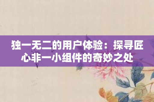 独一无二的用户体验：探寻匠心非一小组件的奇妙之处