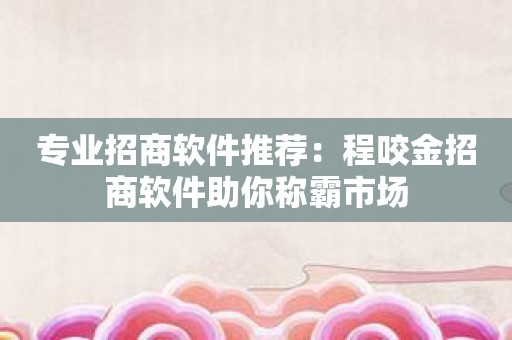 专业招商软件推荐：程咬金招商软件助你称霸市场