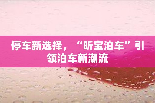 停车新选择，“昕宝泊车”引领泊车新潮流